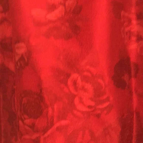 Dana Deatherage - Picture 4 of 13